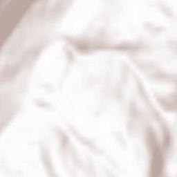 Vaulnaveys-le-Bas Terrain Map