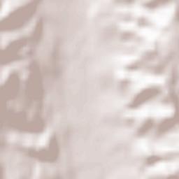 Leicești Terrain Map