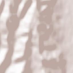 Mihăeşti Terrain Map