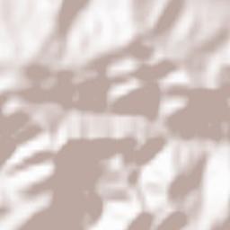 Proviţa de Jos Terrain Map