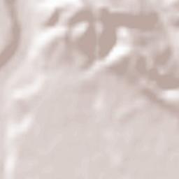 Băneşti Terrain Map