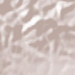 Scorţeni Terrain Map