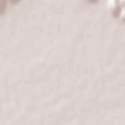 Saint-Paul-lès-Romans Terrain Map