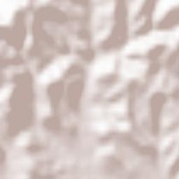 Montaldo Torinese Terrain Map