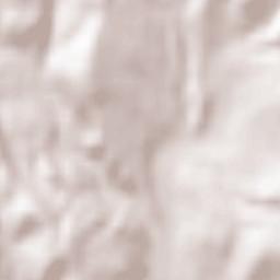 Domaşnea Terrain Map