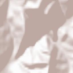 Comuna Cornereva Terrain Map