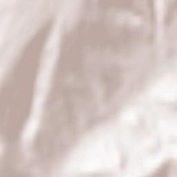 Voiteștii din Vale Terrain Map