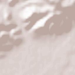 Copăcelu Terrain Map