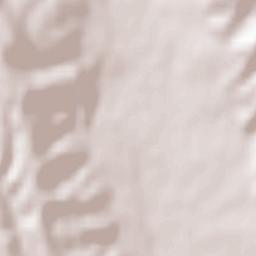 Comuna Coşeşti Terrain Map