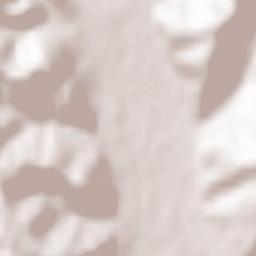 Bălileşti Terrain Map