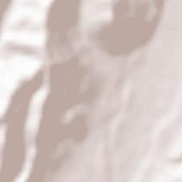 Rădești Terrain Map