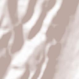 Comuna Vultureşti Terrain Map