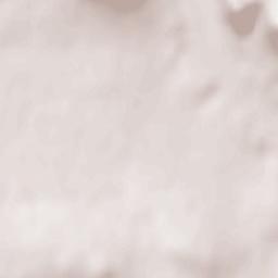 Michurinskoye Terrain Map