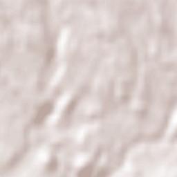 Bracebridge Terrain Map