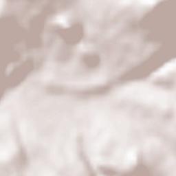 Saint-Julien-Chapteuil Terrain Map