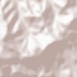 Pino Torinese Terrain Map