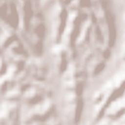 Passerano Marmorito Terrain Map