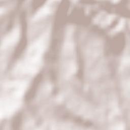 Alfiano Natta Terrain Map