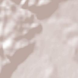 Oraş Tismana Terrain Map