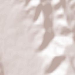 Petrești Terrain Map