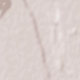 Comuna Floreşti Terrain Map