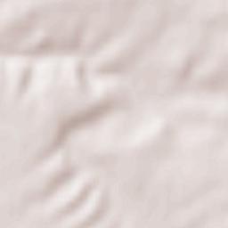 Shkol’noye Terrain Map