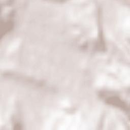 Lantriac Terrain Map