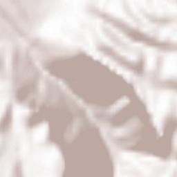 Saint-Laurent-en-Royans Terrain Map