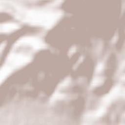 Revigliasco Terrain Map