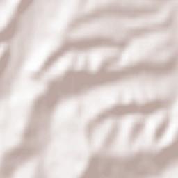 Ziano Piacentino Terrain Map