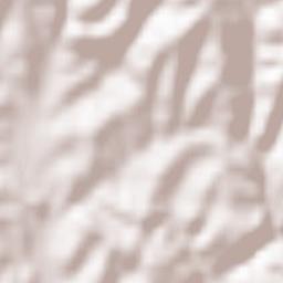 Ćoralići Terrain Map