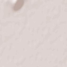 Băleşti Terrain Map