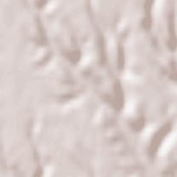 Morăreşti Terrain Map