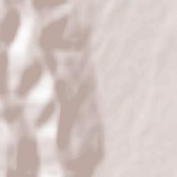 Băjești Terrain Map