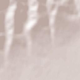 Ceptura de Sus Terrain Map