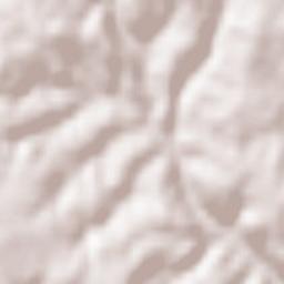 Salignac-Eyvigues Terrain Map