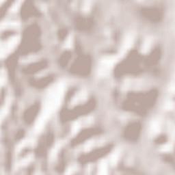 Chiusano d'Asti Terrain Map