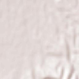 Torrazza Coste Terrain Map