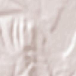 Oraş Târgu Cãrbuneşti Terrain Map