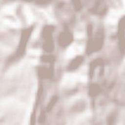 Bustuchin Terrain Map