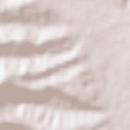 Comuna Copăceni Terrain Map