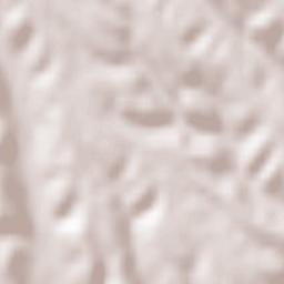 Cotmeana Terrain Map