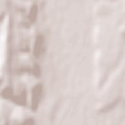 Purcăreni Terrain Map