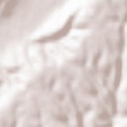 Conțești Terrain Map