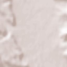 Căprioru Terrain Map