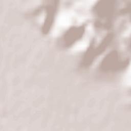 Comuna Aninoasa Terrain Map