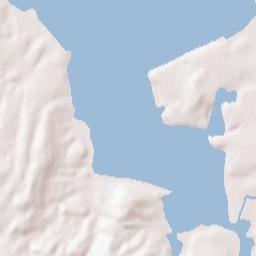 Newport Terrain Map