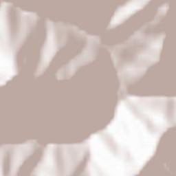 Massello Terrain Map