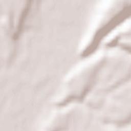 Târgu Cărbuneşti Terrain Map