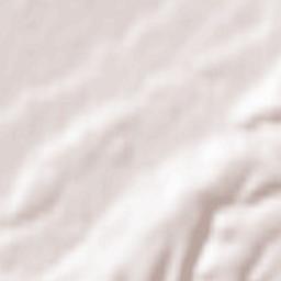 Oraș Mioveni Terrain Map